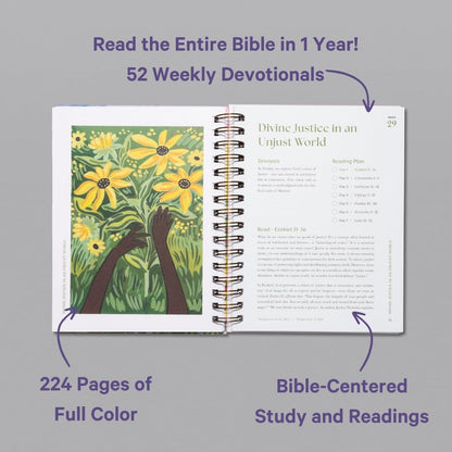 A Beautiful Year in the Bible Study
