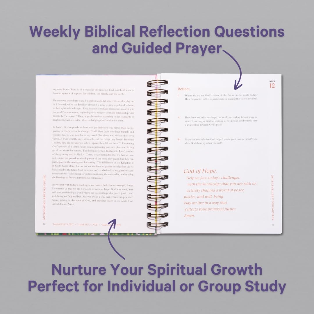 A Beautiful Year in the Bible Study